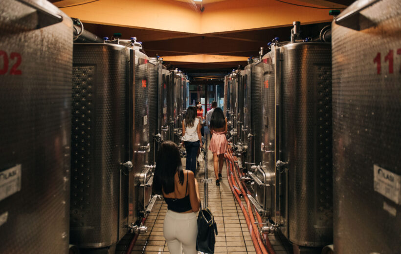 Degustazione di Vino e Olio, Tour Speciale Condiviso nella Cantina a Montecarlo di Lucca