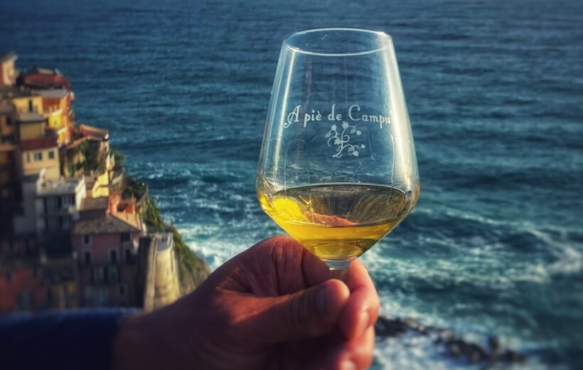 Cinque Terre: degustazione di vini bianchi